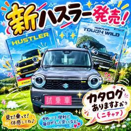 新しいハスラーが！！！！　で、出ますヨ